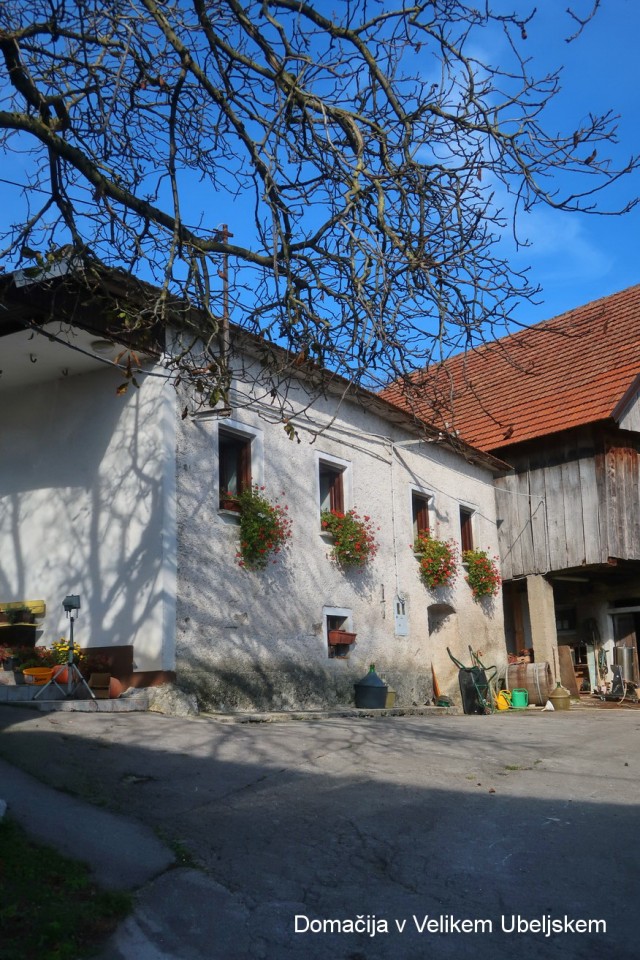 Slovenska Jakobova pot odsek Studeno Podraga - foto povečava