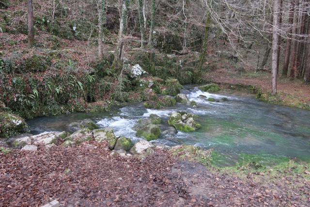 Šentrumar 25.1.2025 - foto