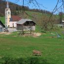 Vrčice