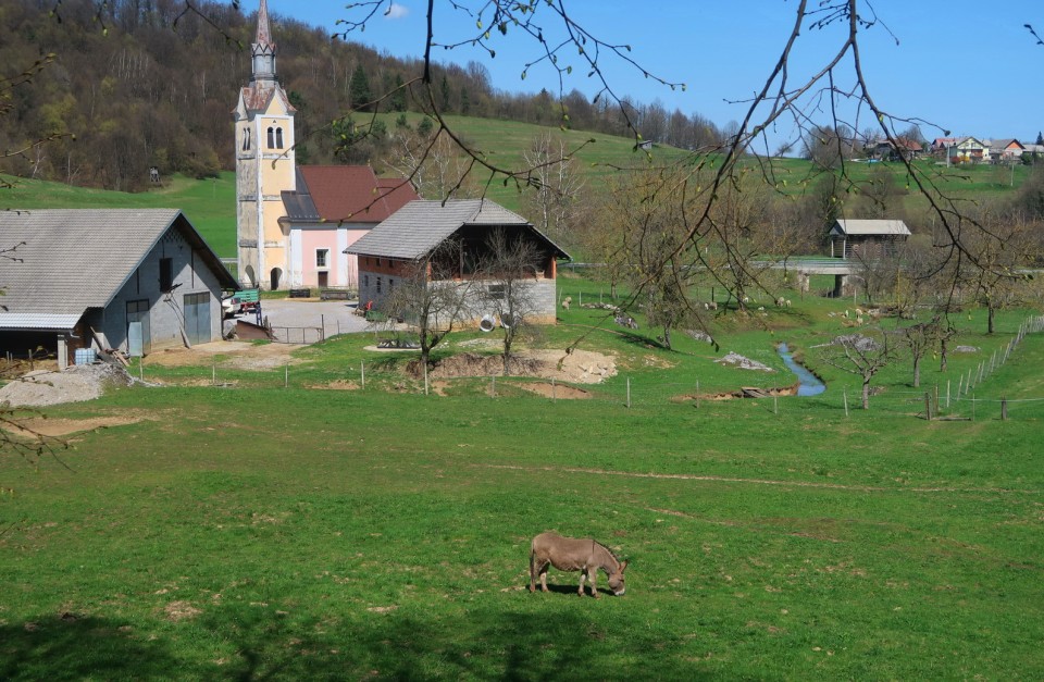 Vrčice