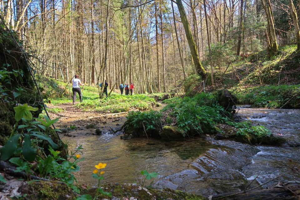 Po Dolenjski in Beli krajini - foto povečava