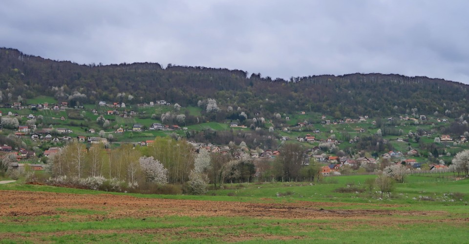 Semič