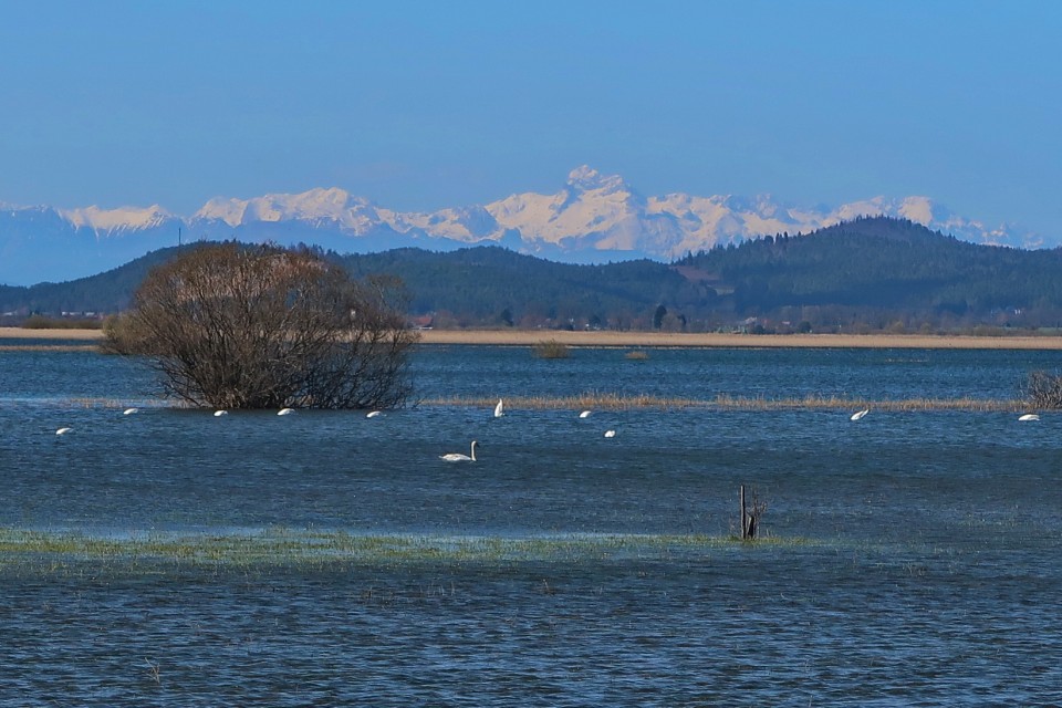 Cerkniško jezero