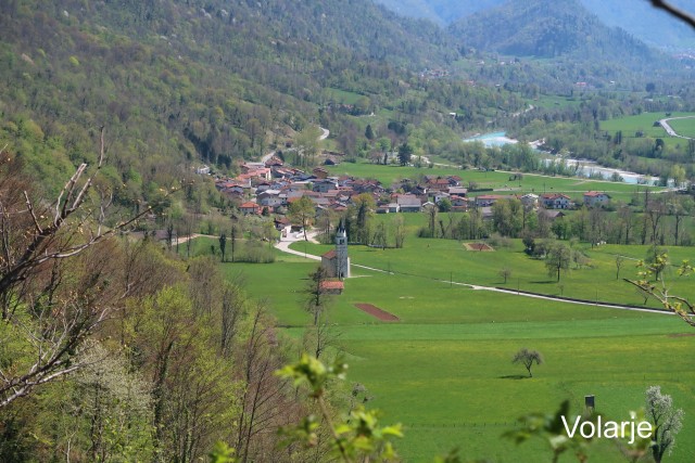 Volarje