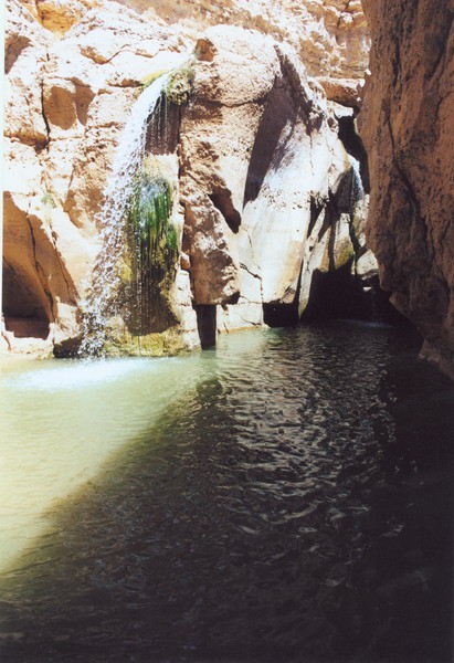 Oaza tamerza tunizija 2002