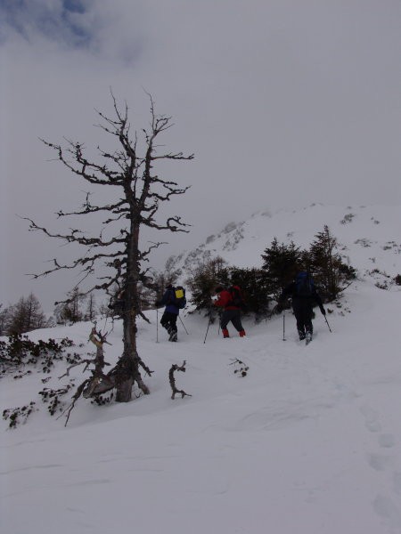 Usposabljanje za PG vodnike Pokljuka 07 - foto povečava