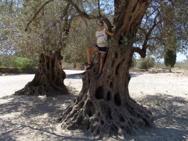 Kreta 2007 - foto