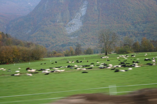 Panorama-narava - foto povečava