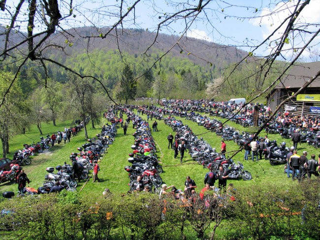 motorjev kot listja in trave...a najdete Frenkovga štroma ?  vprašanje ni nagradno !!