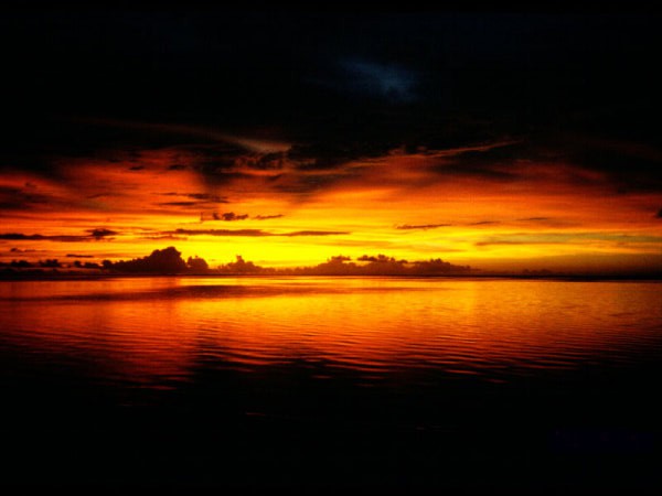 Test - foto povečava