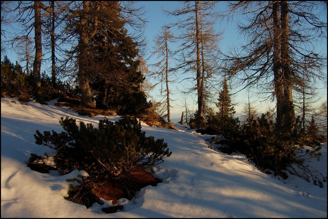 Lipanca-Brda-Debela Peč 26.11.2006 - foto povečava