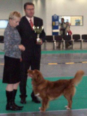 Dog-show - foto