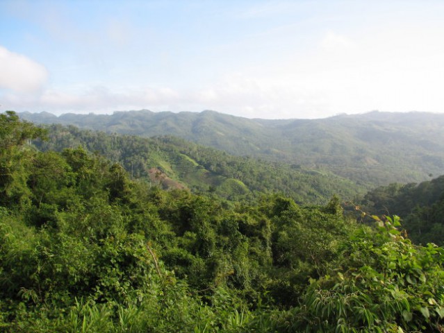 Pogled na đunglo (Topes de Collantes)