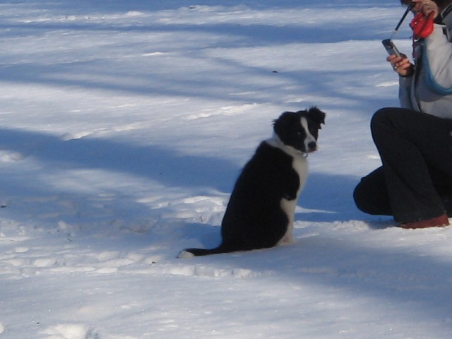 [snow! ] - foto povečava