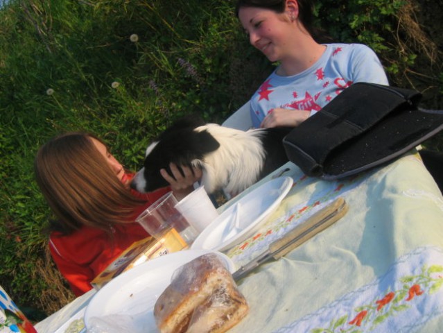 [ picnic - Triban 08.04. ] - foto