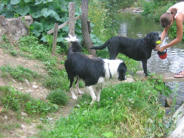 [ Ravne na Koroškem o1. - o5.o7.2007 ] - foto povečava