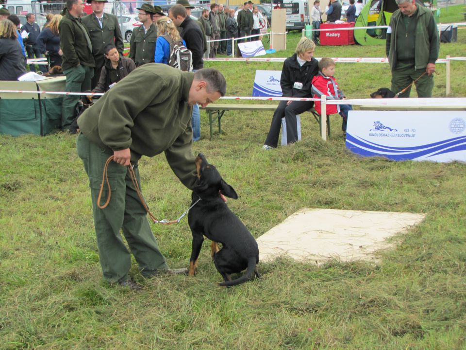 Spec razst goničev CAC 2010 - Sg 2.10.2010 - foto povečava