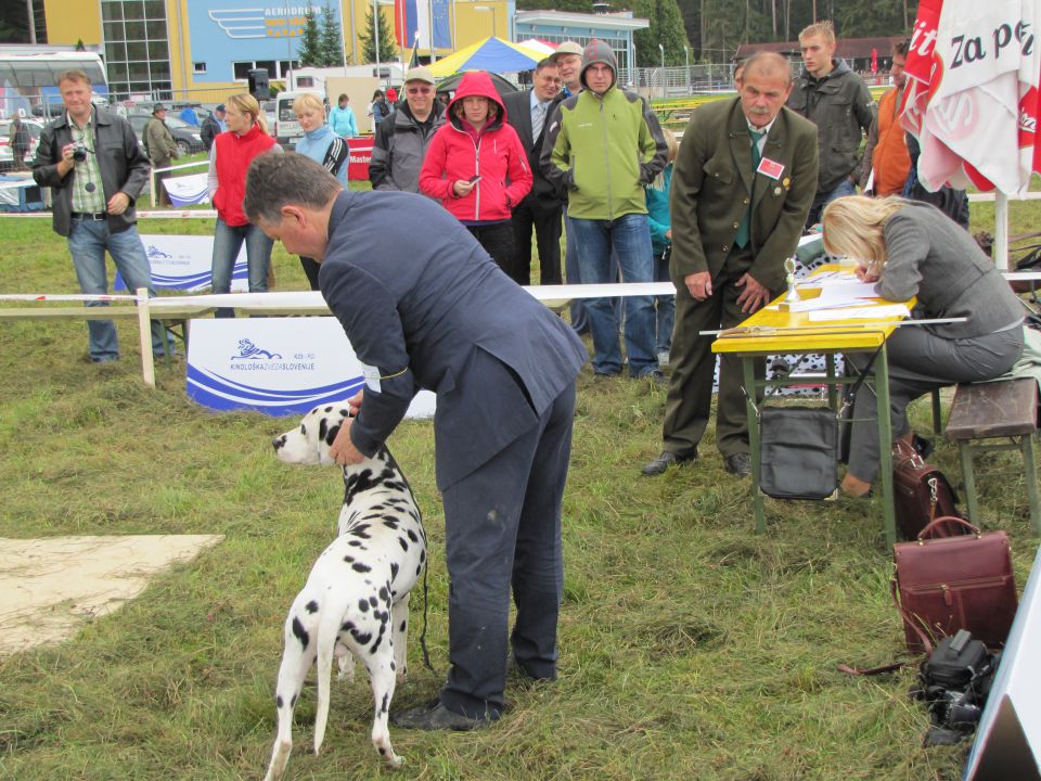 Spec razst goničev CAC 2010 - Sg 2.10.2010 - foto povečava