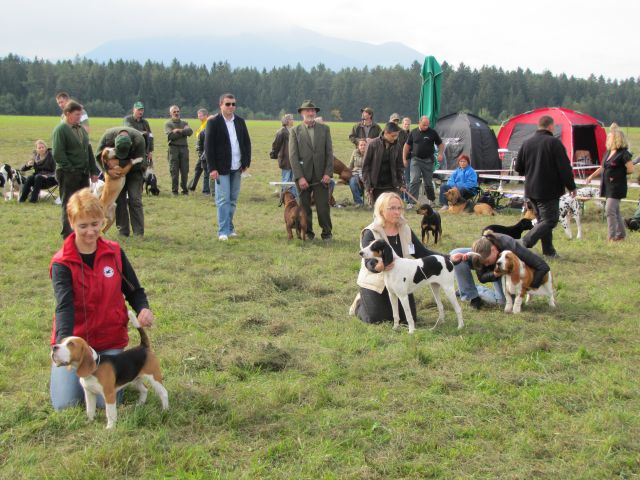 Spec razs goničev cac 2010 - 2del - foto