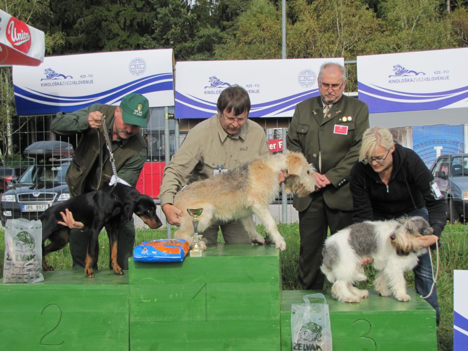 Spec razs goničev cac 2010 - 2del - foto povečava