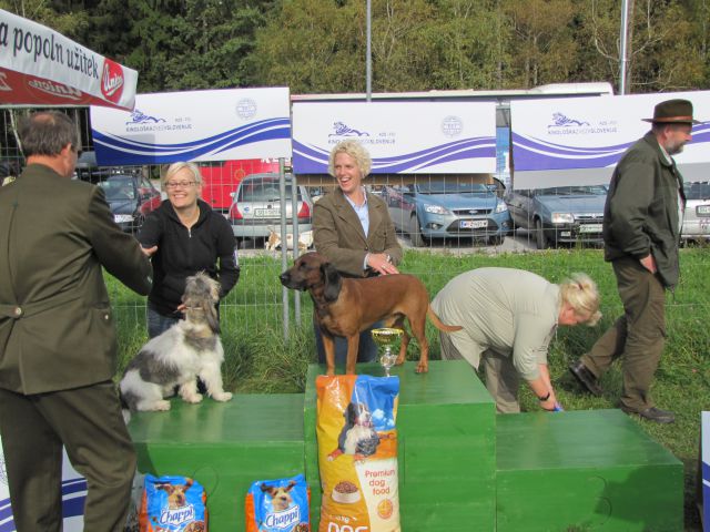 Spec razs goničev cac 2010 - 2del - foto