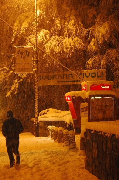 Ljubljana/Tivoli v snegu , 1h ponoči - foto
