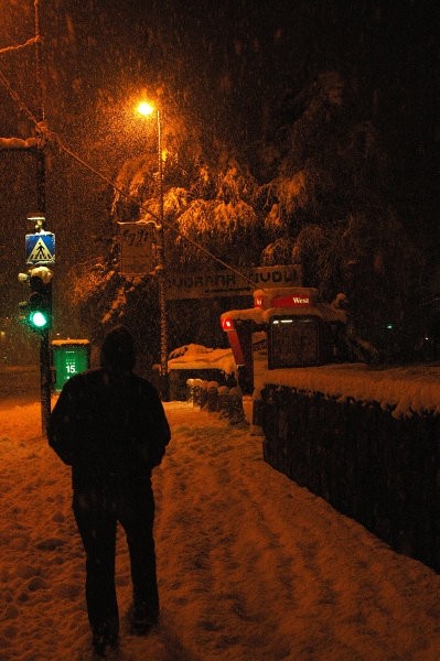 Ljubljana/Tivoli v snegu , 1h ponoči - foto povečava