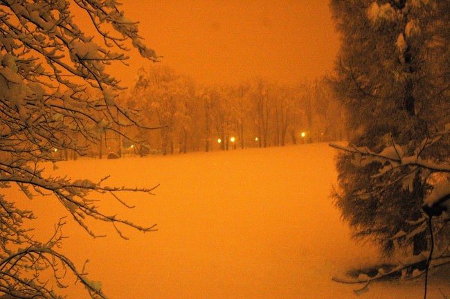 Ljubljana/Tivoli v snegu , 1h ponoči - foto povečava