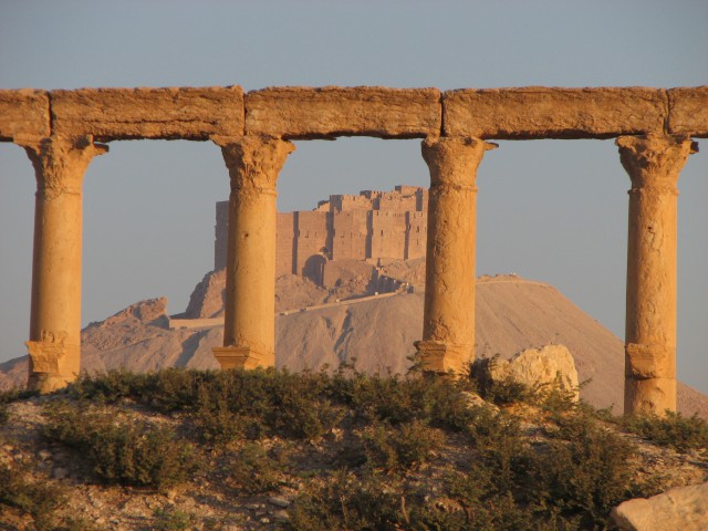 PALMYRA - foto