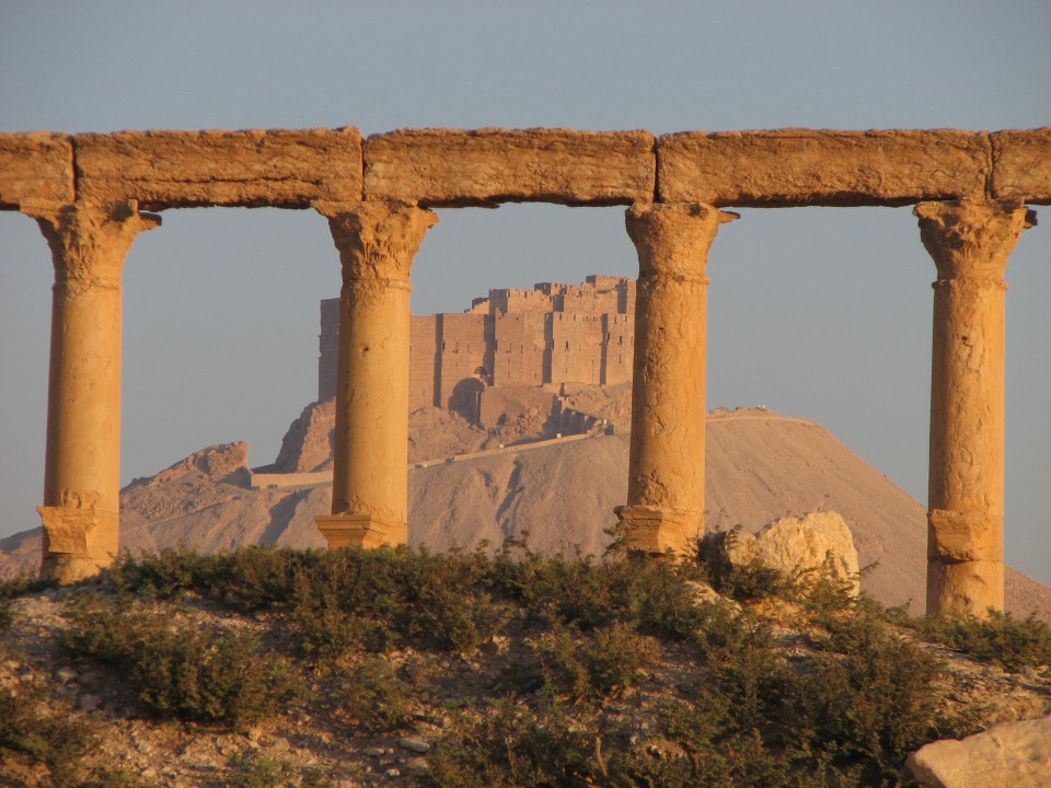 PALMYRA - foto povečava