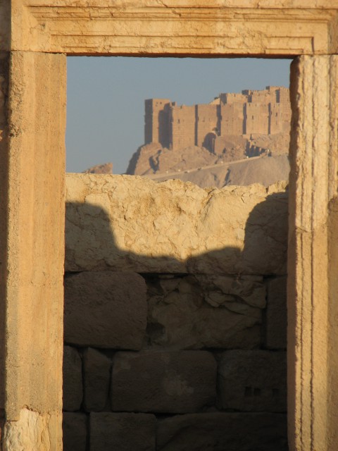 PALMYRA - foto