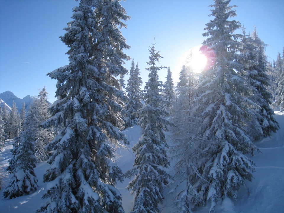 Smučanje božič 2008 - foto povečava