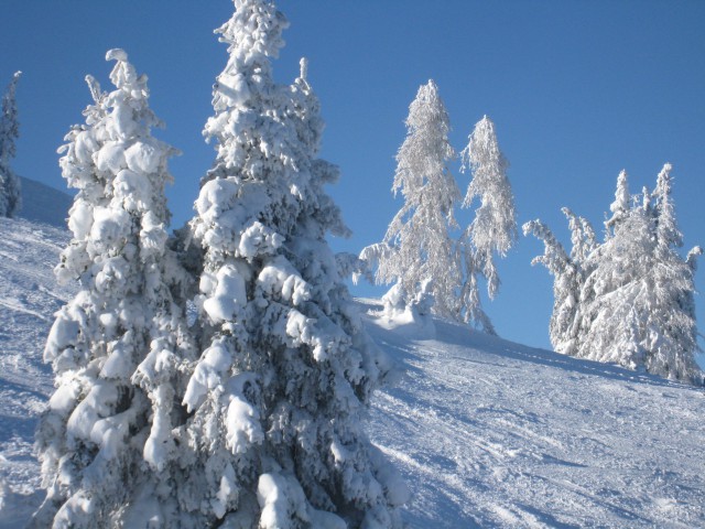 Smučanje božič 2008 - foto