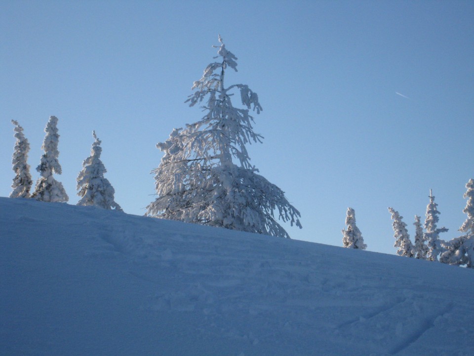 Smučanje božič 2008 - foto povečava