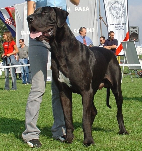 Zagreb 24.9.2005 - foto povečava