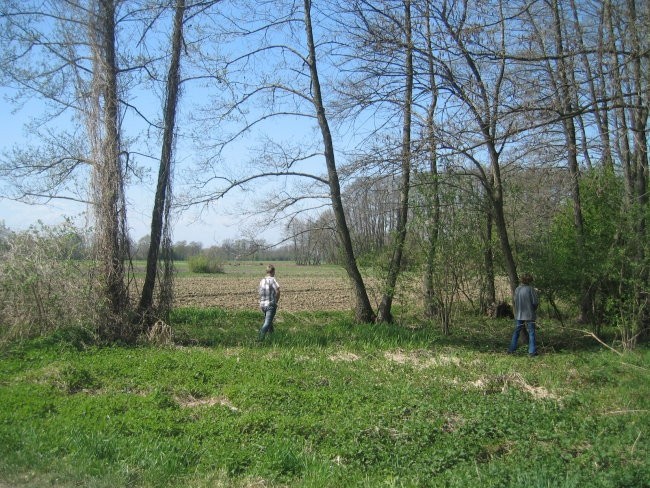 R.d. - foto povečava