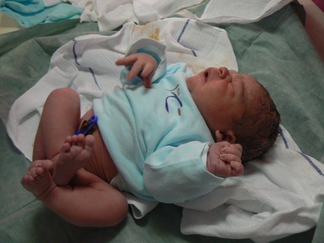 Leon takoj po porodu - foto povečava
