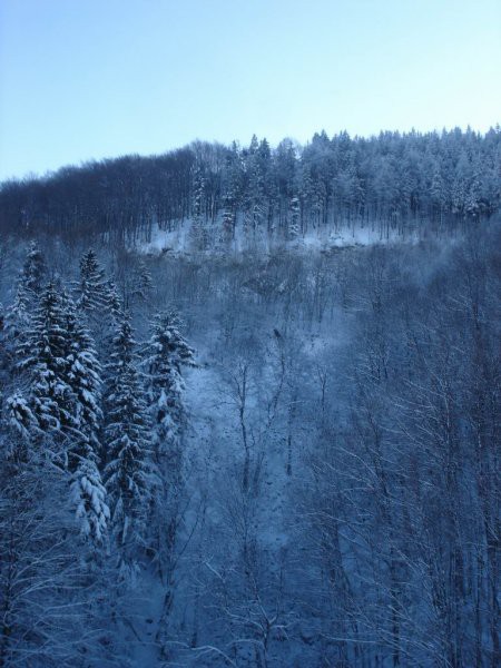 Pohorje_20.12.2006 - foto