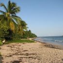 Karibi-Martinique-še ena rajska plaža