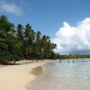 Karibi-Martinique-Les Salinas-tole plažo kar čutim in je zame najlepša na svetu... 