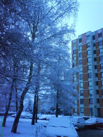 Maribor pozimi - foto povečava