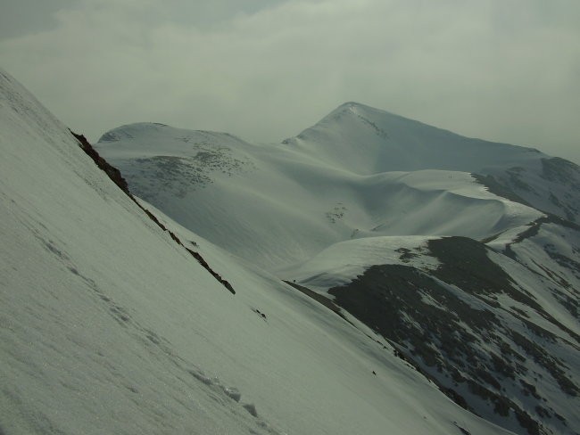 Rodica - foto povečava