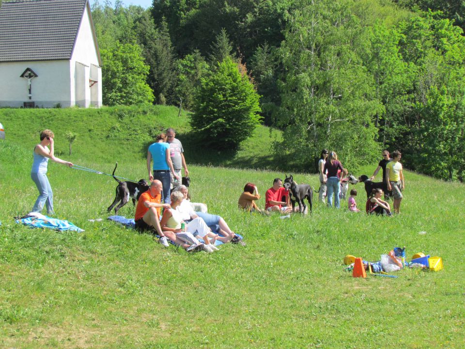 DogA piknik 14. 5. 2011 - foto povečava