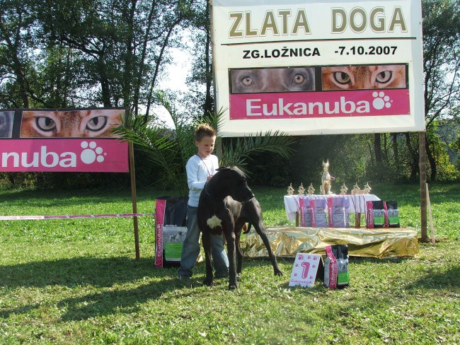     zlata doga 2007 - foto povečava