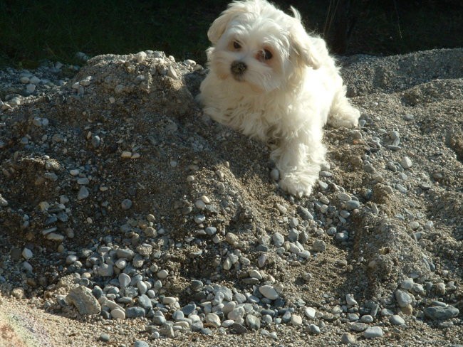 Nicky star 3 mesece - foto povečava