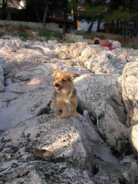 Hvar 2005  - foto povečava