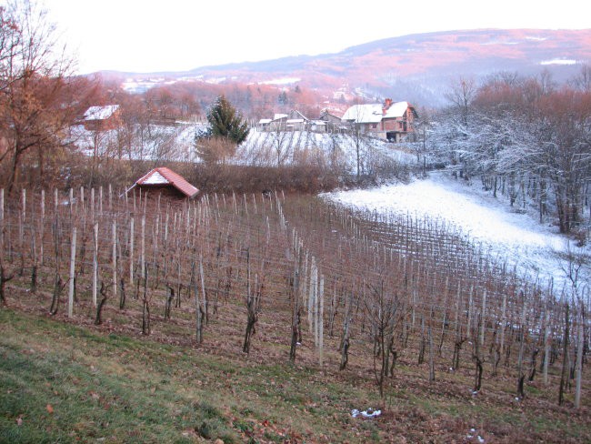 Bostjan - foto povečava