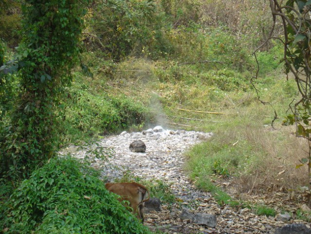 2day trekking Chiang Mai  - foto