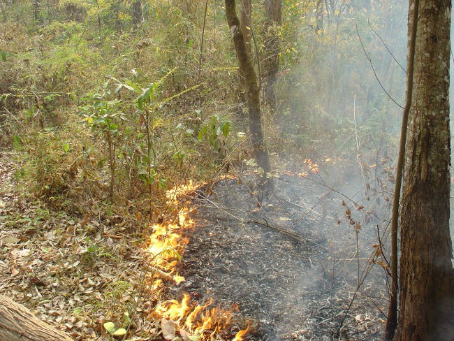 2day trekking Chiang Mai #2 - foto povečava