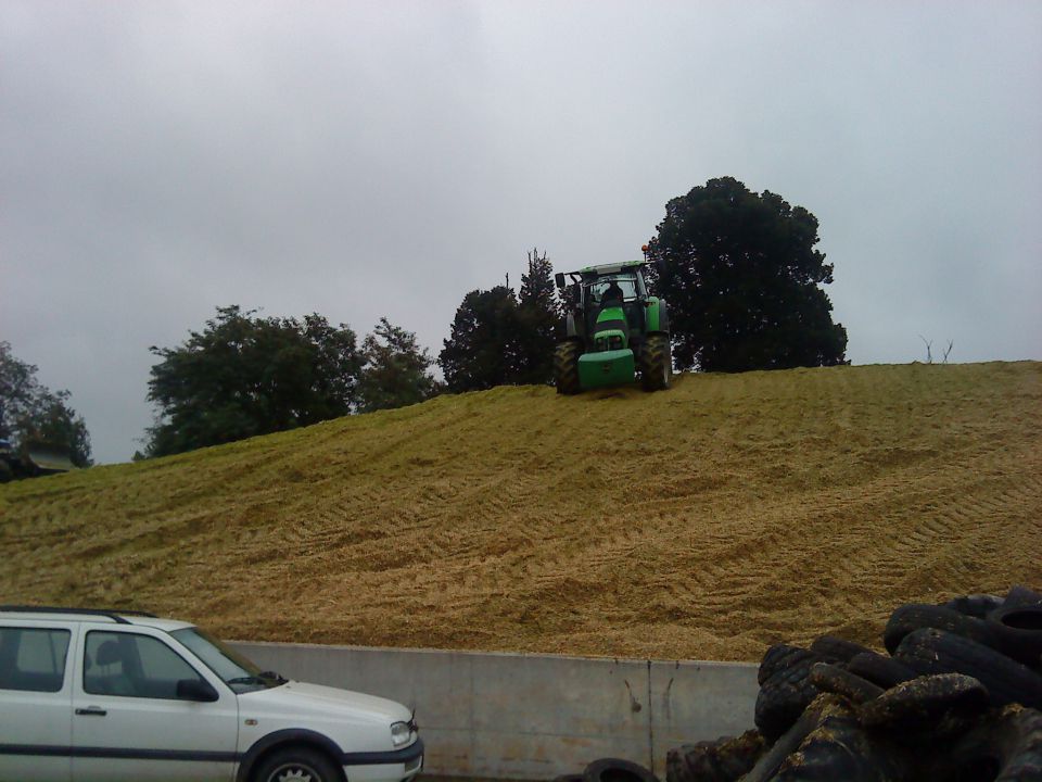 Siliranje koruze 2010 - foto povečava